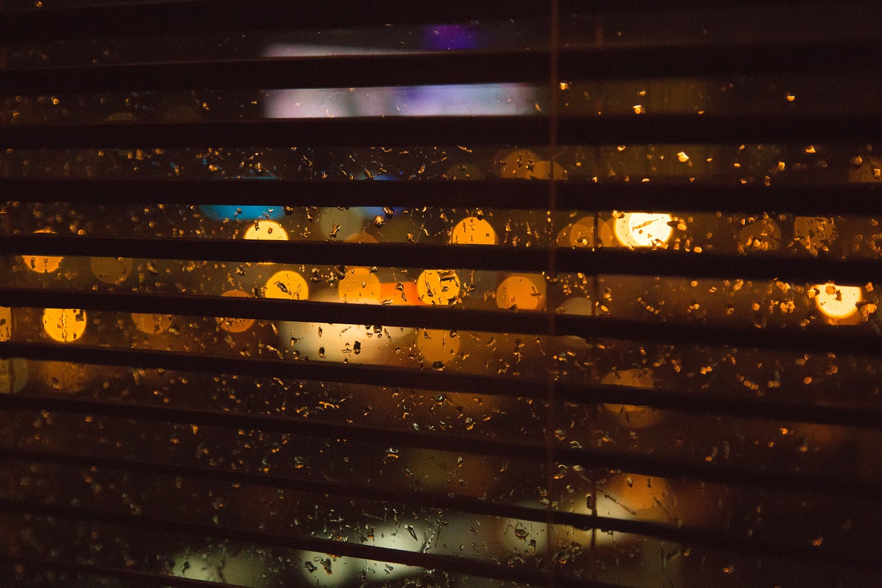 The Sanctuary of Small Things: Finding Home in the Ordinary